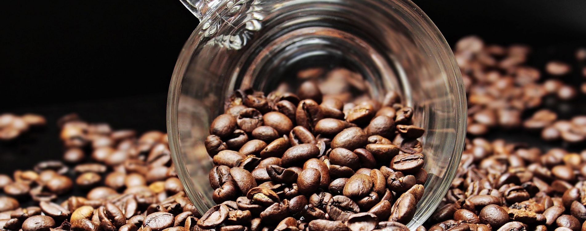 Bekijk SPECIALTY COFFEE OP DE WERKVLOER OF BIJ JOU THUIS op Zjee Café 